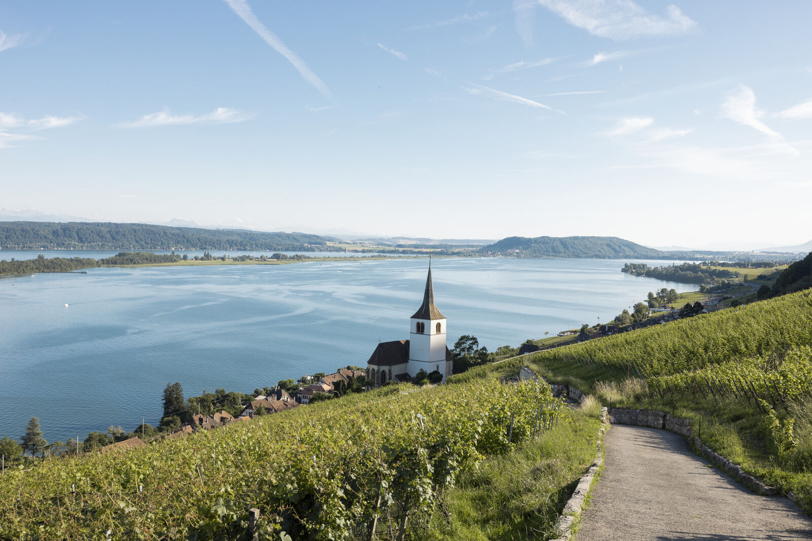 Revue de presse · 1er semestre 2025