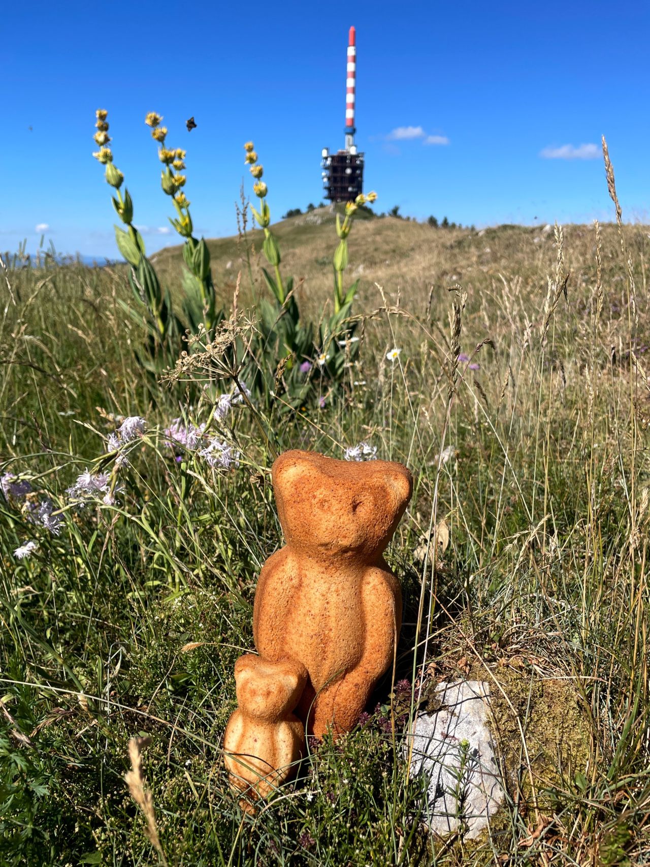 Le Mandelbärli fait une halte au Chasseral
